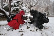 برف بهمن ۱۴۰۴ تصویری باشکوه از انسانیت و ایثار را در دلِ طوفان به نمایش گذاشت