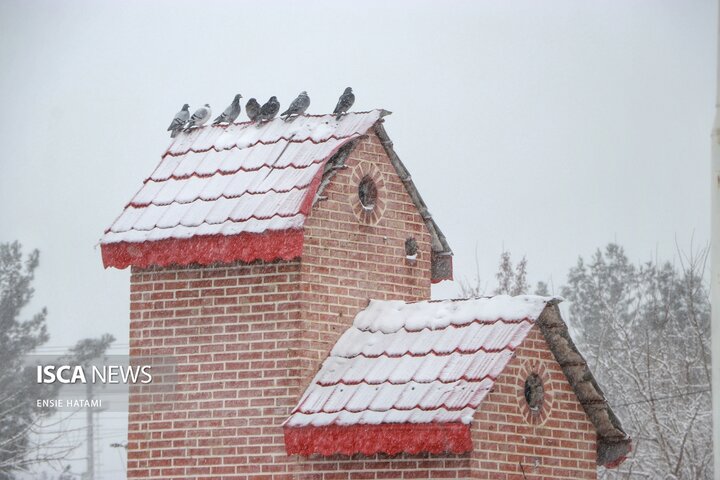 بارش برف در بجنورد