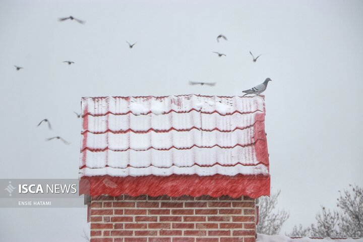 بارش برف در بجنورد