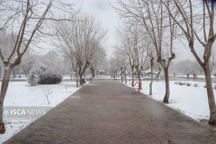 بارش برف در بجنورد