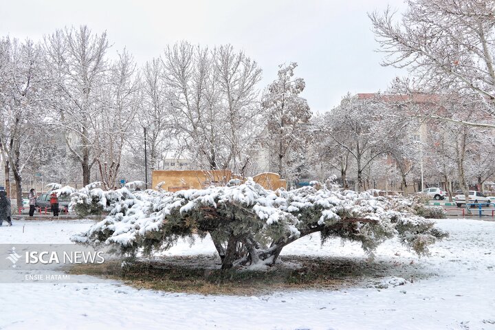 بارش برف در بجنورد