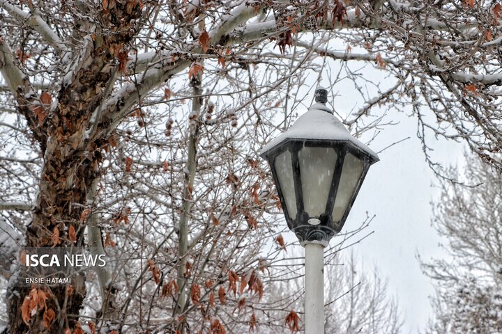 بارش برف در بجنورد