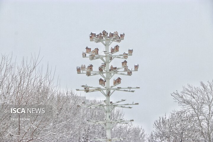 بارش برف در بجنورد
