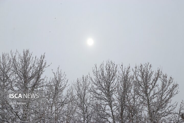 بارش برف در بجنورد