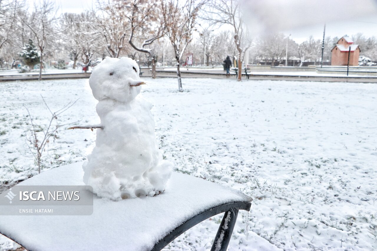 برف بهمن ۱۴۰۴ تصویری باشکوه از انسانیت و ایثار را در دلِ طوفان به نمایش گذاشت