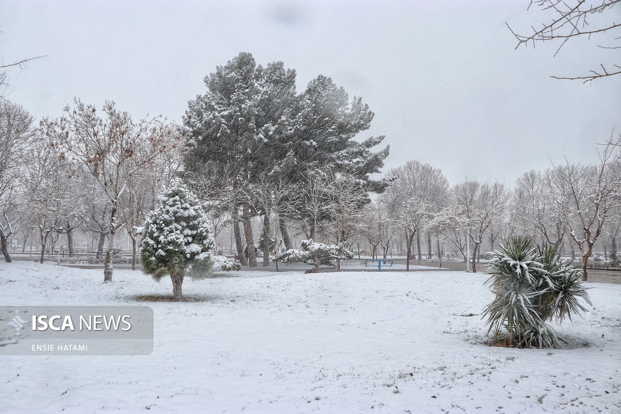 برف بهمن ۱۴۰۴ تصویری باشکوه از انسانیت و ایثار را در دلِ طوفان به نمایش گذاشت