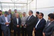 سیستان و بلوچستان، دومین استان کشور در توسعه گلخانه‌ها