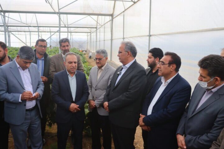 سیستان و بلوچستان، دومین استان کشور در توسعه گلخانه‌ها