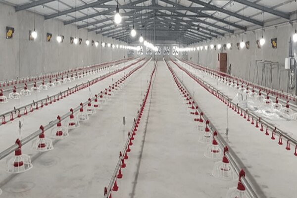 افتتاح ۵ طرح کشاورزی به مناسبت دهه مبارک فجر در بیجار