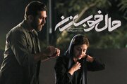 امتیاز تعدادی از منتقدین به فیلم سینمایی "حال خوب زن"