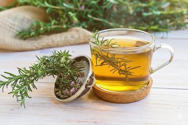 دمنوش رزماری؛ گزینه‌ای مؤثر برای مشکلات گوارشی و سردمزاجی