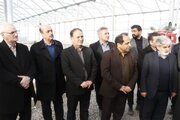 مدرن‌ترین گلخانه در پارس‌آباد افتتاح شد