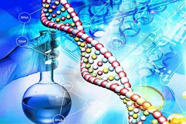 طراحی سامانه نانویی هوشمند برای تشخیص و درمان سرطان پروستات طراحی سامانه نانویی هوشمند برای تشخیص و درمان سرطان پروستات