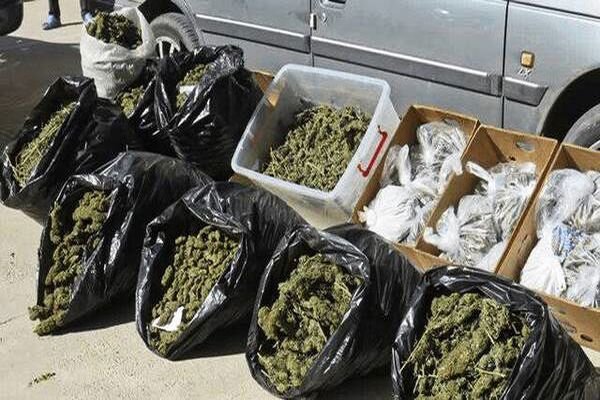کشف ۴۷ کیلوگرم ماری‌جوانا در بندرعباس