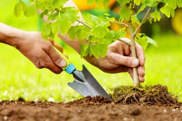 آغاز هفته منابع طبیعی در کهگیلویه و بویراحمد