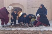 دختران آفتاب از کویر لوت با کاشت نهال حنا پیام همدلی را به ساحل میناب مخابره کردند