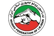 اسامی دعوت شدگان به تیم ملی ووشو زنان و مردان ایران اعلام شد