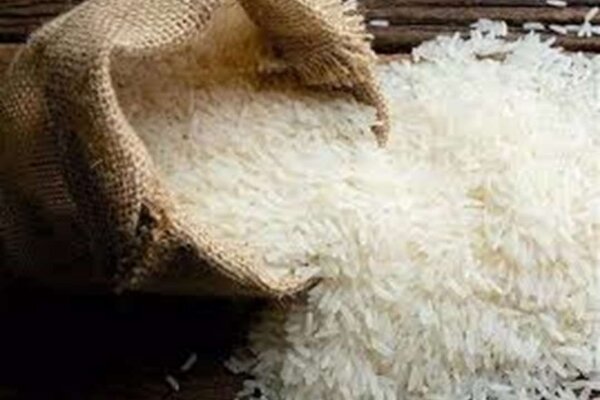 قیمت جدید برنج ایرانی چهارشنبه ۱۴ مرداد ۱۴۰۵ قیمت جدید برنج ایرانی چهارشنبه ۱۴ مرداد ۱۴۰۵