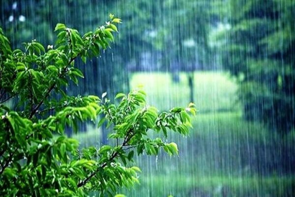 آسمان اردبیل بارانی می‌شود