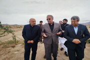 پارک جنگلی زاهدان، الگویی جدید برای شهرهای کشور است