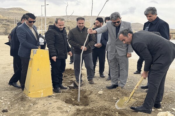 پویش ملی درختکاری «سرو ایران» در بیجار برگزار شد