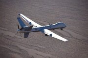 ایران ۱۶ پهپاد پیشرفته ام‌کیو۹ آمریکا را ساقط کرد