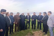 غرس نهال‌های امید به یاد شهیدان شهرستان دشتی