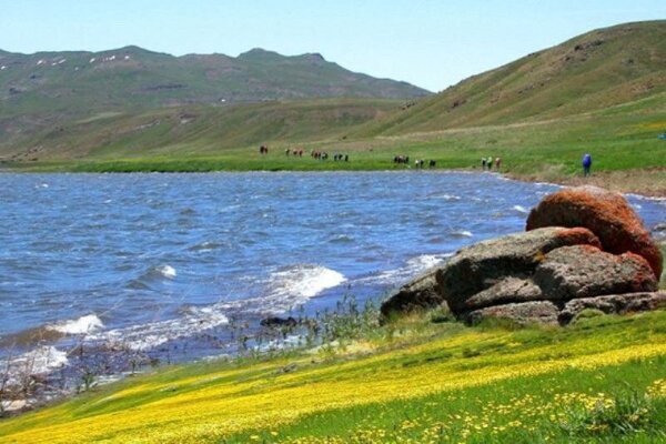 جریمه ماهیگیری در تالاب نئور ۵۰۰ میلیون ریال اعلام شد