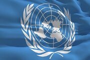 هشدار سازمان ملل درباره افزایش قیمت مواد غذایی در جهان