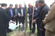 کاشت نهال به یاد رهبر شهید در سوق