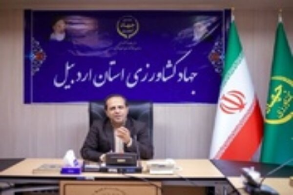 کشت سیب زمینی در ۱۵ هزار هکتار از اراضی استان اردبیل