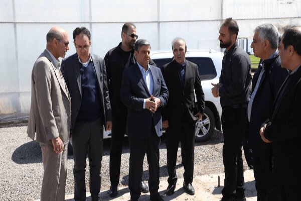 رشد ۱۲۰ هکتاری گلخانه‌ها در اردبیل