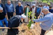 سرسبزی هرمزگان با دستان مردم رقم می‌خورد