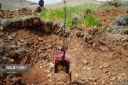 بام لرستان میزبان پویش ملی «سرو ایران»؛ اتحاد مدیران و داوطلبان برای احیای طبیعت