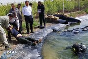 مرگ جوان ۲۲ ساله در پی غرق‌شدگی در استخر کشاورزی قدیم‌آباد قزوین