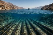 گلوگاه دوگانه هرمز / اگر ایران کابل‌های اینترنت را قطع کند، چه بر سر جهان می‌آید؟