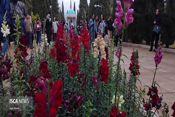 بزرگداشت سعدی شیرازی