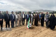کاشت ۱۵۵ نهال زیتون به یاد شهدا در دانشگاه آزاد اسلامی خرم آباد