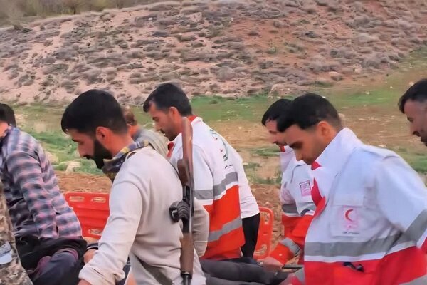 حمله خرس به کوهنورد جوان در ارتفاعات ونک حمله خرس به کوهنورد جوان در ارتفاعات ونک