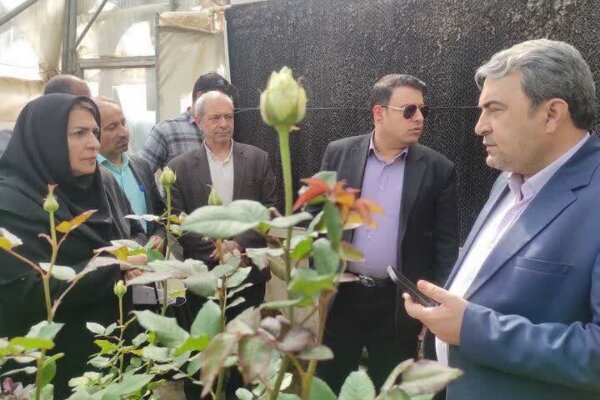 فعالیت ۱۳۷ هکتار شهرک گلخانه‌ای در کهگیلویه‌ و بویراحمد