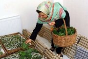 مشاغل خانگی مسیری برای درآمدزایی، استقلال مالی و تقویت جامعه