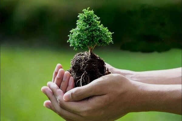 کاشت ۶۰۰ اصله نهال در قالب پویش نهال امید در شهرستان نجفآباد کاشت ۶۰۰ اصله نهال در قالب پویش نهال امید در شهرستان نجفآباد