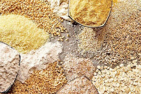 آغاز پرداخت اعتبار ویژه خرید نهاده دام و طیور در خوزستان