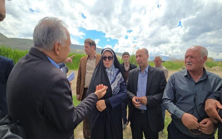 مدیریت منابع آبی ماکو روی میز مسئولان/ از شناسایی کشت غیرمجاز تا تأکید بر الگوی کشت نوین