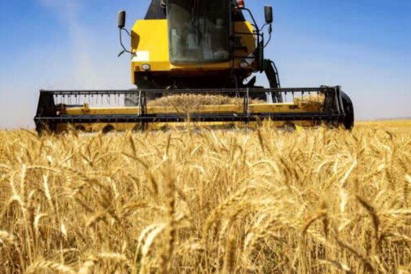 تسهیل دسترسی کشاورزان خوزستانی به اعتبارات بانکی در طرح گندم