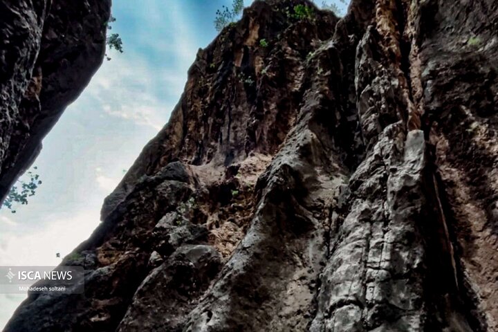 روز طبیعت