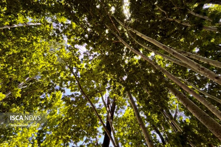 روز طبیعت