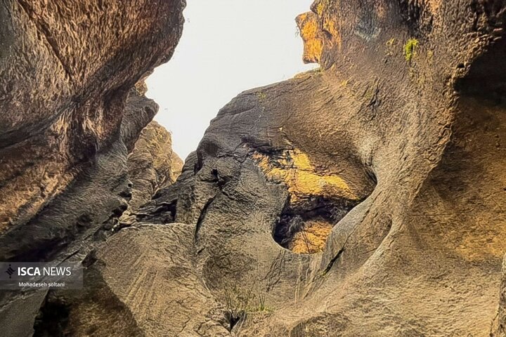 روز طبیعت