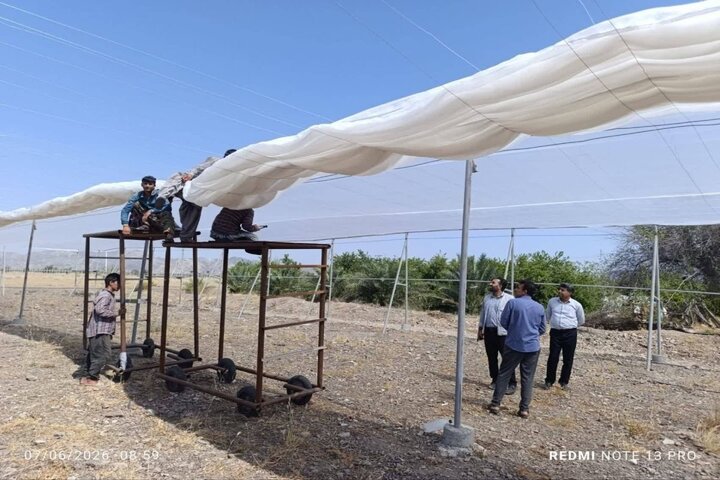 احداث ۶ واحد گلخانه مدرن و راهاندازی نخستین واحد بستهبندی خرما احداث ۶ واحد گلخانه مدرن و راهاندازی نخستین واحد بستهبندی خرما