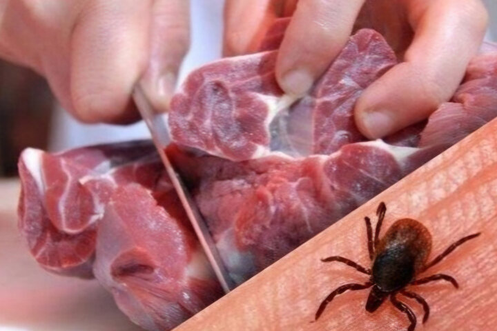 نظارت ویژه دامپزشکی هرمزگان بر بهداشت ذبح دام در ایام تاسوعا و عاشورا نظارت ویژه دامپزشکی هرمزگان بر بهداشت ذبح دام در ایام تاسوعا و عاشورا